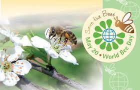 Weltweit sind es über 20.000 arten. Happy World Bee Day Weltbienentag Am 20 Mai Bienenretter
