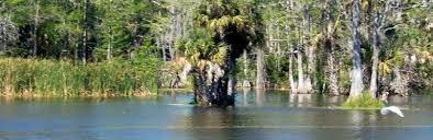 Lake okeechobee angelausflüge in der nähe von palm beach, florida. The 15 Best Things To Do In Okeechobee 2021 With Photos Tripadvisor