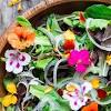 Nasturtium flowers are often eaten in salads; Https Encrypted Tbn0 Gstatic Com Images Q Tbn And9gcsf Rdgknu4f N8nxzssyq6ezulqe1oblqyfft2rka4eeqrv8du Usqp Cau