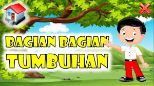 We did not find results for: Membuat Multimedia Pembelajaran Interaktif Tutorial Powerpoint Youtube