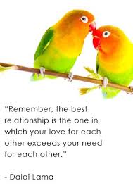 Pin By Mariela Medina On Inspiration Love Birds Quotes Bird Quotes Love Picture Quotes