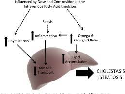Complications Associated With Parenteral Nutrition In The Neonate Semantic Scholar