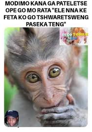 Kante harele neela madi lea isa kae neh bomma?? Kana ledi airtime go reka  rona🤔