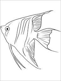 Use this lesson in your classroom, homeschooling curriculum or just as a fun kids activity that you as a parent can do with your child. Queen Angelfish Coloring Page Coloringbay