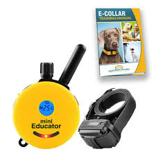 This consideration sets it apart from many dog collars have offered. Educator Et 300 Mini E Collar Technologies
