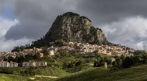 Image result for Sutera debilis