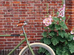 Veloretti Velorettiamsterdam Amsterdam Amstergram Gramthedam Monday Desertmoss Color Colour Desert Moss Pink Flowers Design Bike Bicycle Design