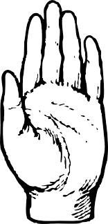 Download Left Hand Left Hand Clip Art Png Image With No Background Pngkey Com Pirena icon, cartoon index finger pointing gesture, right hand illustration png clipart. download left hand left hand clip art