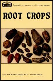 Image result for Sphenostylis