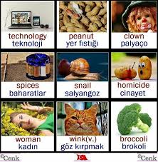 Vanessa Adli Kullanicinin Languages Panosundaki Pin Teknoloji Turkce Dil