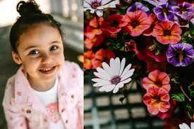 No you don't shoot things