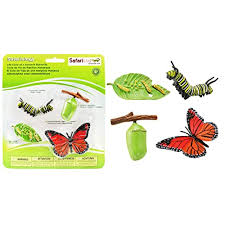 Posted by unknown at 04:19. Buy Kitaran Hidup Safari Ltd Untuk Rama Rama Raja Online In Malaysia B004jdj9ss