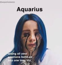 Aquarius Memes On Instagram Happy National Billie Eilish Day The New Album Is Amazing This Actually Happened Aquarius Aquarius Life Aquarius Aesthetic