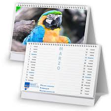 Image result for calendari
