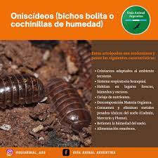 Branquias y exoesqueleto