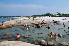 6 natural tide pools where kids can explore crabs sea stars