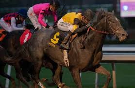 Today's horse racing from all uk and ireland courses. Free Past Performances For Saturday S Kentucky Derby 2019 Preps