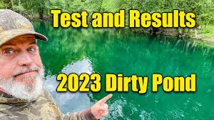How to Clear Up Dirty Pond Water