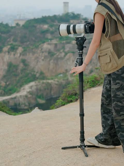 YC Onion Pineta Pro Monopod for Sports and Wildlife