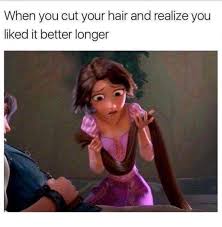 Meme Funny Crazy Long Short Hair Girl Girls Problems Fairy Tale Rapunzel Funny Memes About Girls Haircut Memes Hair Problems Funny
