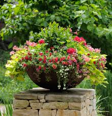 Succulent arrangement tilted pot flower pots. Thrill Fill And Spill Three Easy Steps To Container Gardening Engledow Group
