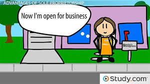 what is sole proprietorship definition advantages disadvantages