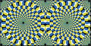 Image result for optical illusion motion