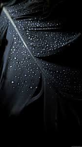 Maybe you would like to learn more about one of these? Black Screen Wallpaper Enjpg