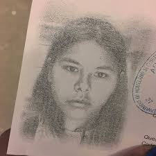 danechadwick100's collection