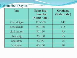 Ancak nabız sayısının kaç olması gerektiği konusunda ne kadar bilgi sahibiyiz? Breyn Yaam Bulgulari Yaam Bulgular Vcut Scakl Nabz
