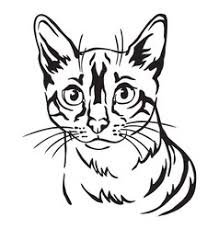 From wikimedia commons, the free media repository. Bengal Cat Vector Images Over 2 000