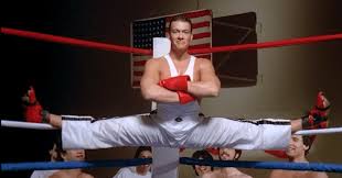 Image result for Van Damme split