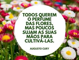 Eu Tenho A Forca 45 Frases De Autoestima Para Acreditar Em Voce Mesmo Frases De Auto Estima Frases Construtivas Mensagens De Auto Estima