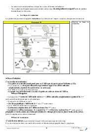 l expression de information genetique cours alloschool science et vie sciences physiques coloriage mouton