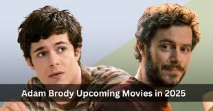 The Life and Career of Adam Brody