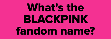 Mamamoo debut pada tahun 2014, dibawah naungan rainbow bridge world / rbw entertainment (sebelumnya wa entertainment). K Pop Fandom Names Trivia Quiz