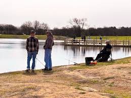 Meet Austin Eldred! Austin is the City of Denton Volunteer Programs  Supervisor. He is a graduate of the University of North Texas with a  bachelor's degree in business. Before joining the Parks
