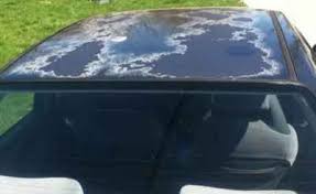 Jika dibandingkan tahun 2019, harga cat tembok vinilex tahun 2020 mengalami kenaikan. 3 Bahan Yang Anda Selalu Temui Ini Rupanya Boleh Membuat Cat Kereta Rosak Motoqar