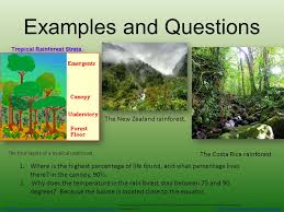 Tropical rainforest, luxuriant forest found in wet tropical uplands and lowlands near the equator. Is Tropical Rainforest A Proper Noun