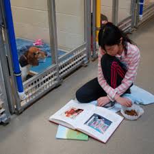 Most of the volunteer opportunities require you to be 16 or older, so if you're younger, your options may be somewhat limited. Animal Shelter Volunteer Near Me Under 18 Pet S Gallery