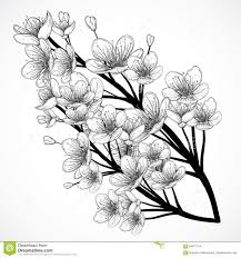 Black And White Cherry Blossom Tree Tattoo Cherry Tree Blossom Vintage Black And White Hand Drawn Vector Illustration In Sketch Style Stock Tree Tattoo Small Cherry Blossom Drawing Blossom Tree Tattoo