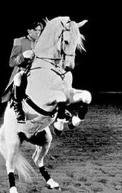 Behold a pale horse is a 1964 movie that has faded into obscurity. Behold A Pale Horse Night Day St Louis St Louis News And Events Riverfront Times