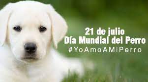 We did not find results for: Dia Mundial Del Perro