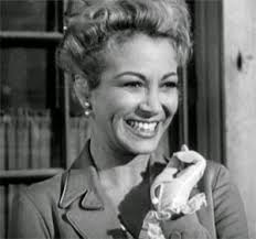 Television's New Frontier: The 1960s: Shotgun Slade (1960)