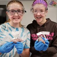 Wheatland recognized as Project Lead the Way Distinguished School