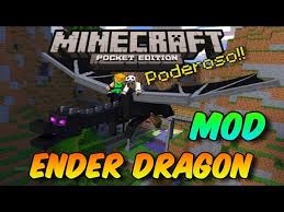 Dragoncraft addon is a mod that makes it possible for you to own a dragon as a pet. Minecraft Pocket Edition Ender Dragon Mod Youtuberandom