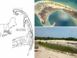 Maybe you would like to learn more about one of these? Map Of Massachusetts Far Left Shaded Area Lower Cape Cod And The Download Scientific Diagram