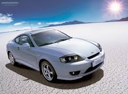 Image result for Triton Green 2004 Tiburon