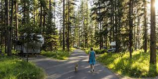 Other region 5 hunting access opportunities. River Point Campground Outdoor Project