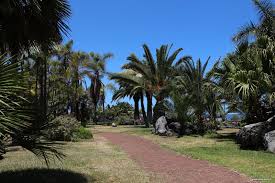 We did not find results for: Alles Rund Um Playa Jardin Den Strand Von Puerto De La Cruz Puerto De La Cruz Entdecken